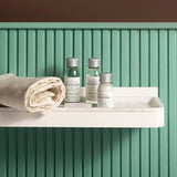 Shampoo e Balsamo, aloe Vera 20 ml - Aloesir