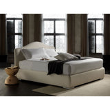 Copripiumino in percalle Gerbera cm 280x205 (King Size)