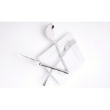 Cucchiaione Servire, collezione Concept - Pintinox